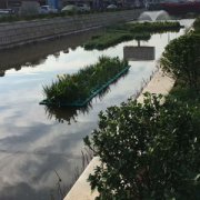 生态河道治理中如何处理水草中的垃圾