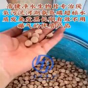 生物菌片降低黑臭河道水体中COD，氨氮磷效果好